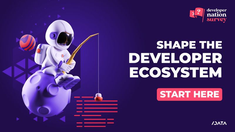 Developer Survey Banner