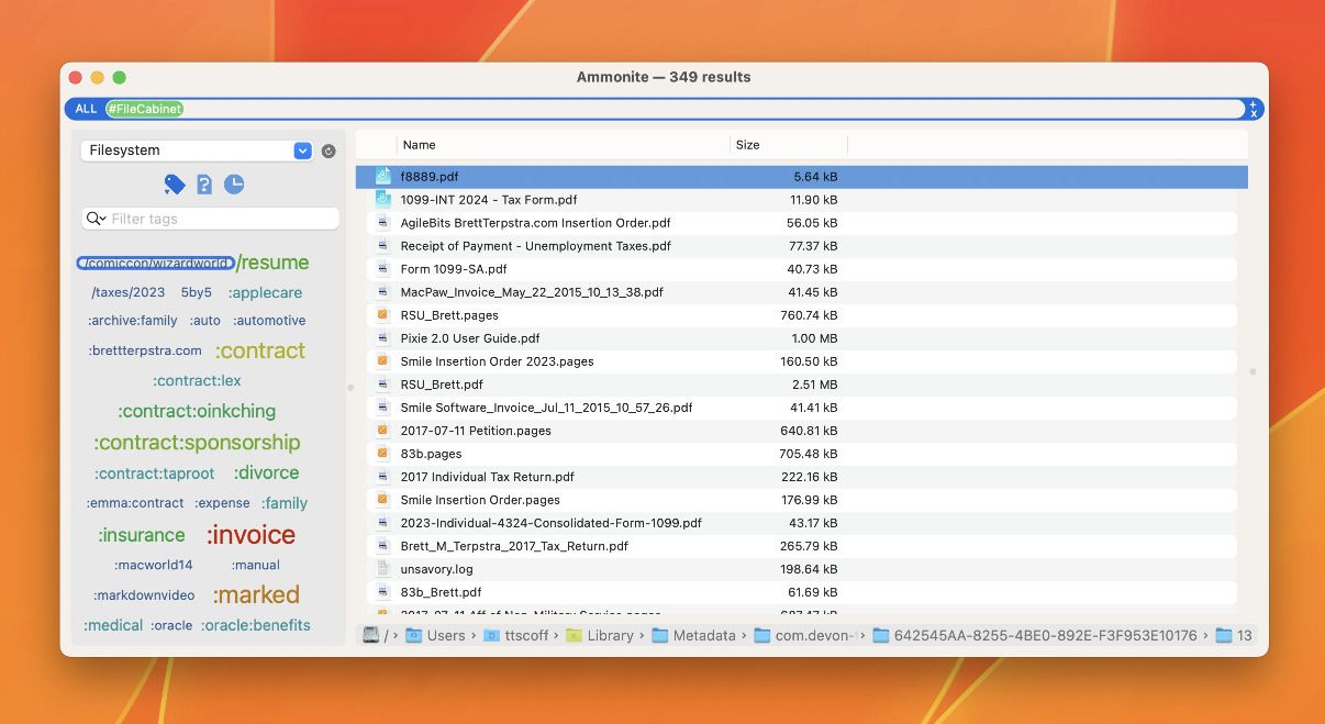 Ammonite main window